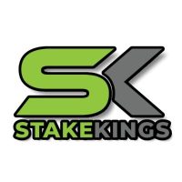 StakeKings x TrueDFS